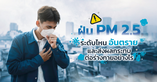 ฝุ่น PM 2.5